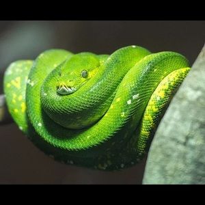 Meet your Posher, Jonathan